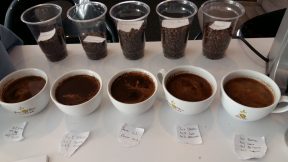 Coffee Cupping