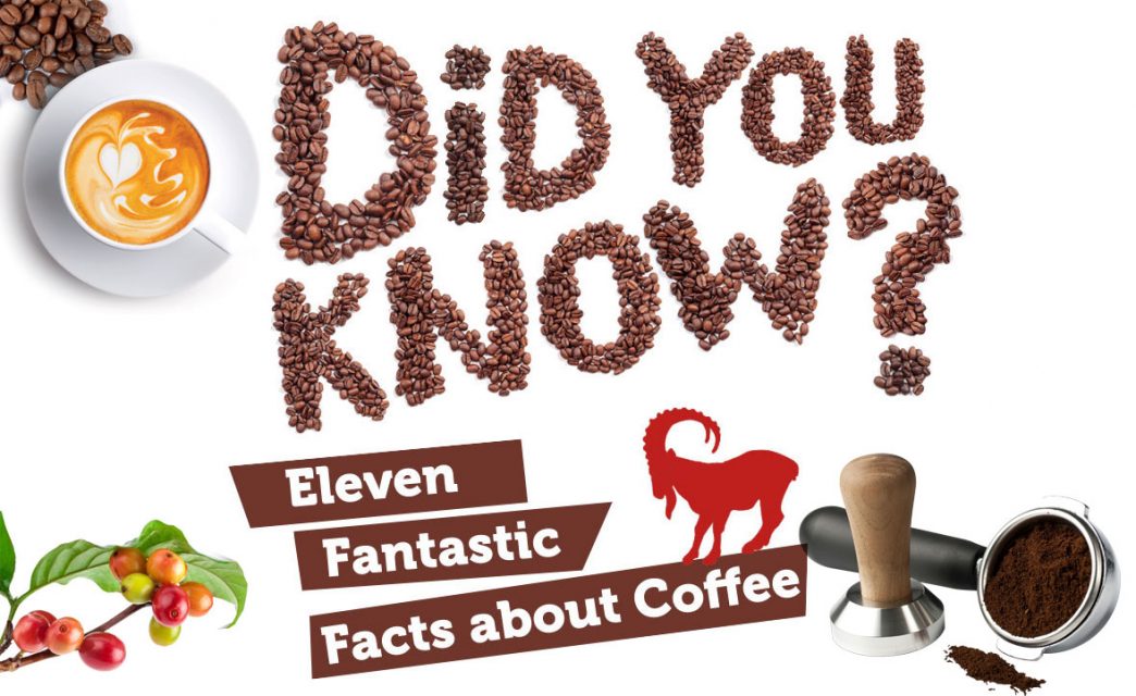 facts about coffee