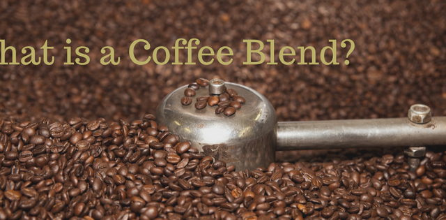 Coffee Blend